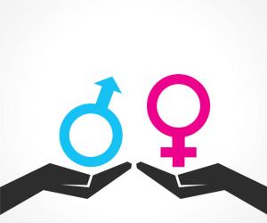 Igualtat i Gènere