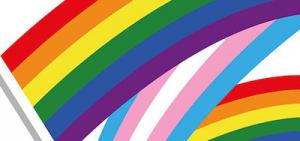 Comunicat de premsa: 28 de juny: Dia de l&rsquo;Orgull LGTBI. El COPIB reitera el seu suport a les iniciatives que promouen la construcci&oacute; d'una societat m&eacute;s inclusiva i igualit&agrave;ria