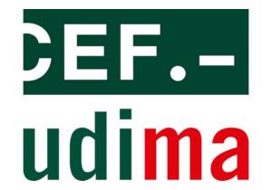 Las/os colegiadas/os del COPIB pueden beneficiarse de un 10% de descuento en la matr&iacute;cula de los grados y cursos de postgrado del grupo CEF-UDIMA