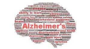 Manifest amb motiu del Dia Mundial de l&rsquo;Alzheimer