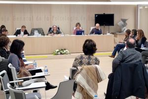El COPIB participa en la reunión del Área de Tráfico y Seguridad Vial del COP