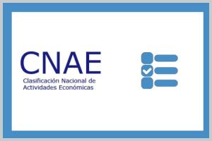 Nueva Clasificaci&oacute;n Nacional de Actividades Econ&oacute;micas 2025: los profesionales de la Psicologia tendr&aacute;n que poner 8693