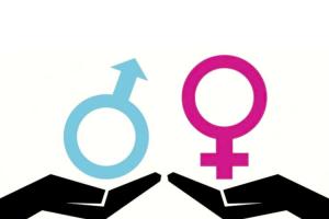 ​La vocal&iacute;a de Igualdad y G&eacute;nero del COPIB actualiza con tres nuevas publicaciones su secci&oacute;n &lsquo;Documentos de inter&eacute;s&rsquo;