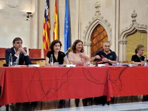 El COPIB participa en la sesi&oacute;n ordinaria del Consell de Serveis Socials