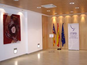 El COPIB reconvierte al formato e-learning el &uacute;ltimo trimestre del Plan de Formaci&oacute;n 2020 