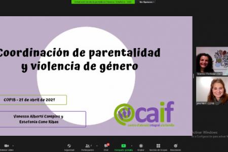 El COPIB celebra una Sesi&oacute;n Cl&iacute;nica para revisar la intervenci&oacute;n del coordinador de parentalidad en casos de violencia de g&eacute;nero