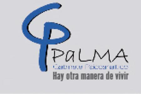 El COPIB, membre col&middot;laborador de les activitats dutes a terme pel &ldquo;Gabinete Psicoanal&iacute;tico Palma&rdquo;