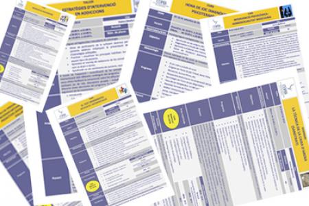 Arranca el nou Pla de Formaci&oacute; 2018 del COPIB