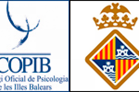 El COPIB participa en la reuni&oacute; del Consell Municipal de Serveis Socials de Palma