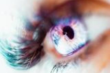 Reuniones del Grupo de Trabajo de Psicoterapia EMDR. &Uacute;ltimo cuatrimestre de 2020