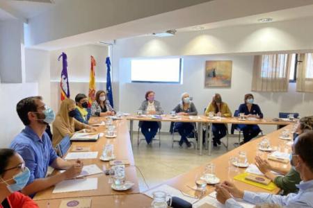 Responsables del COPIB participan en la reuni&oacute;n de trabajo sobre la ley del aborto con la directora del Instituto de las Mujeres