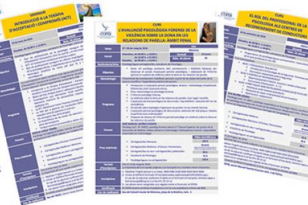 El COPIB posa en marxa el Pla de Formaci&oacute; 2019 per a afavorir la formaci&oacute; cont&iacute;nua dels professionals de la psicologia de les Illes