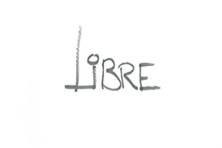 EL COPIB acoge la presentaci&oacute;n del libro "Libre: Manual para la comprensi&oacute;n y el tratamiento psicol&oacute;gico integral de los efectos de la violencia de g&eacute;nero en las mujeres"