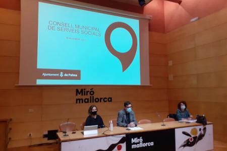El COPIB participa en la reuni&oacute;n del Consejo Municipal de Servicios Sociales del Ajuntament de Palma