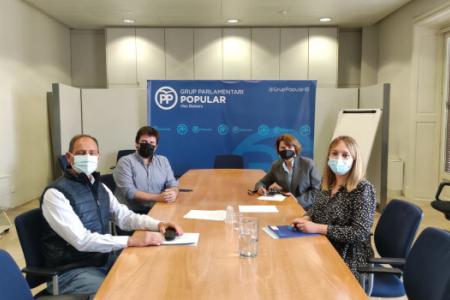 EL COPIB solicita comparecer en el Parlament para dar cuenta de la precaria situaci&oacute;n de la atenci&oacute;n psicol&oacute;gica ciudadana en las Illes