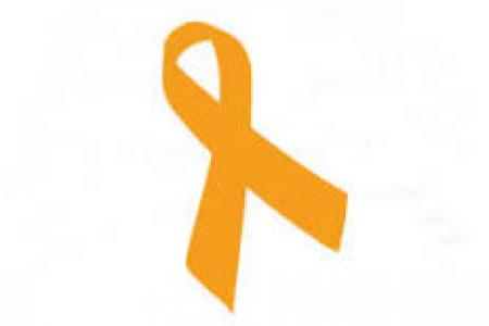 D&iacute;a Internacional del Superviviente del Suicidio: El COPIB subraya la necesidad de contemplar medidas de apoyo psicol&oacute;gico para los  supervivientes del suicidio en Baleares