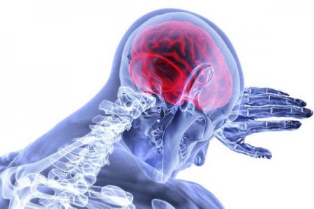 Participaci&oacute;n estudio de investigaci&oacute;n: El perfil de los profesionales de la neuropsicolog&iacute;a de las Islas Baleares