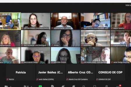 ​El COPIB participa en la reuni&oacute;n del &Aacute;rea de Nuevas Tecnolog&iacute;as del COP