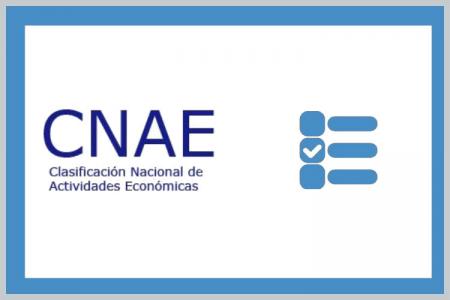 Nueva Clasificación Nacional de Actividades Económicas 2025: los profesionales de la Psicologia tendrán que poner 8693