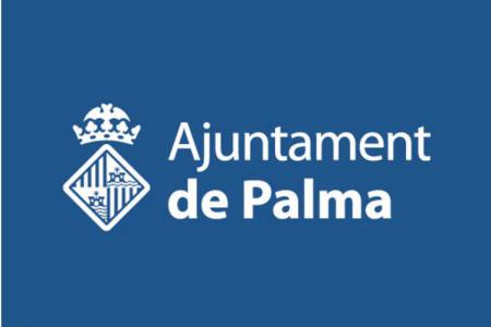 ​El COPIB participa en la Comisión de Servicios Sociales de Palma para abordar el sinhogarismo y la crisis de vivienda