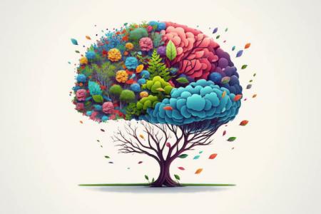 ​El COPIB impulsa la Psicologia Ambiental com a eina clau per construir un futur més sostenible i resilient