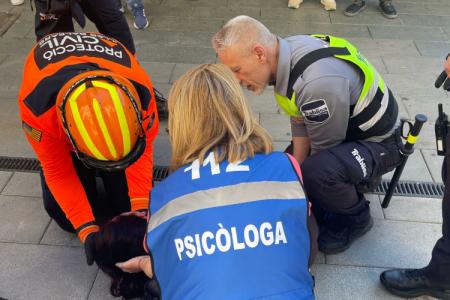 ​Professionals de la psicologia d'emerg&egrave;ncies del GIPEC IB participen en el simulacre d'accident a la Intermodal de Palma