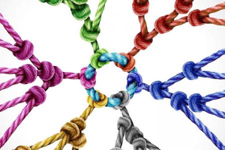 Psicologia de la Diversitat Funcional i Autisme