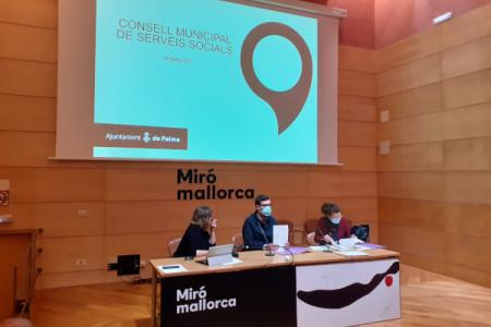 El COPIB participa en la reuni&oacute;n del Consejo Municipal de Servicios Sociales del Ayuntamiento de Palma