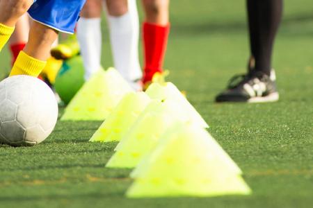Vocalia de Psicologia de l&rsquo;Esport: II Congr&eacute;s Internacional sobre Futbol i Psicologia