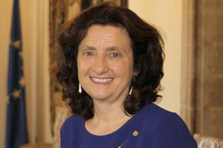 El COPIB participa en la reuni&oacute;n del Consejo de Servicios Sociales presidida por la consellera Fina Santiago
