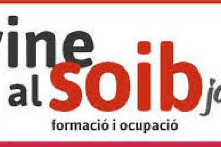 Contractaci&oacute; de joves amb estudis superiors dins el programa SOIB Jove- qualificats sector p&uacute;blic