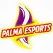 ​El COPIB reafirma su compromiso con el deporte inclusivo y el bienestar emocional de la infancia junto a PALMAesports